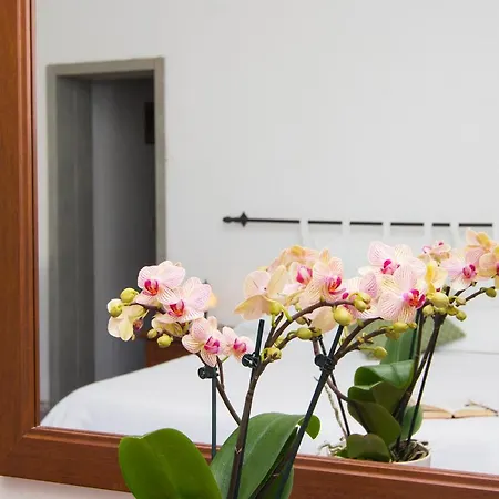 Casa Maresca بيت ضيافة